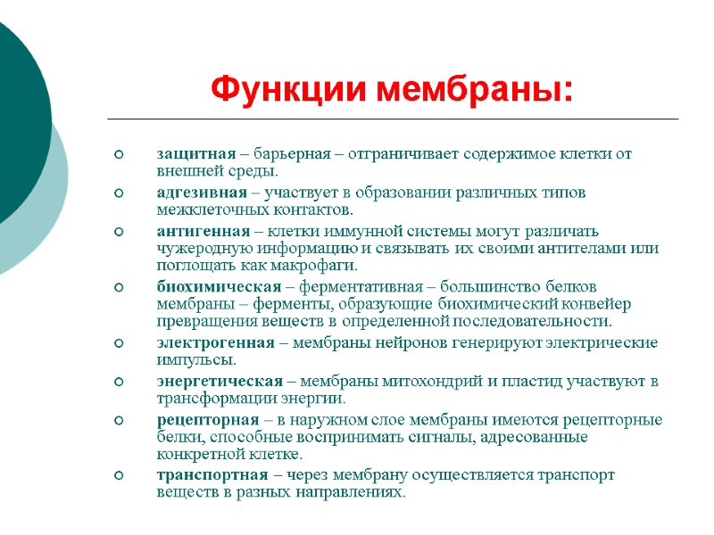 Функции мембраны: защитная – барьерная – отграничивает содержимое клетки от внешней среды. адгезивная –